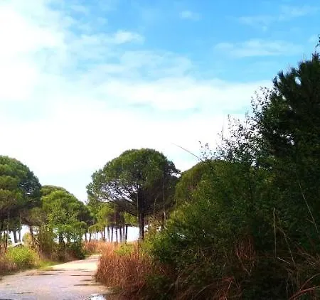 Elisabeth, Gjiri I Lalzit, Plazhi San Pietro Durrës