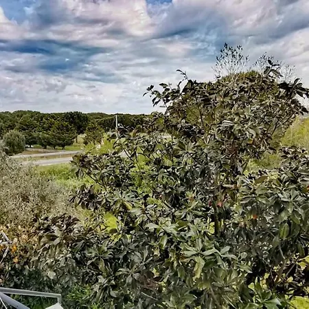 Elisabeth, Gjiri I Lalzit, Plazhi San Pietro Kwatera prywatna *