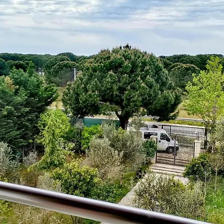Quarto em Acomodações Particulares Elisabeth, Gjiri I Lalzit, Plazhi San Pietro Durrës
